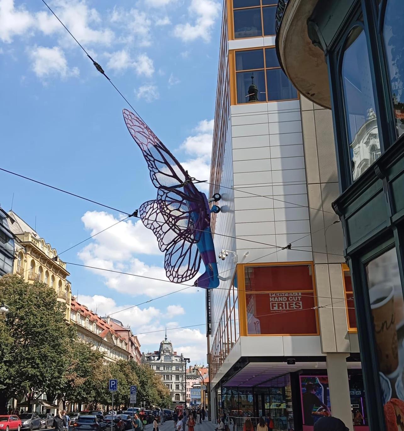 Centrum House Dovolenkový dom *